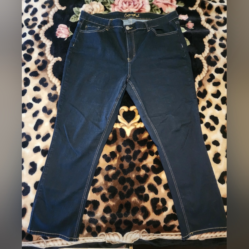 Copper Hash Plus Size Jeans Dark Wash Size 22 Curve